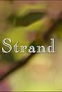 Strand (2017)