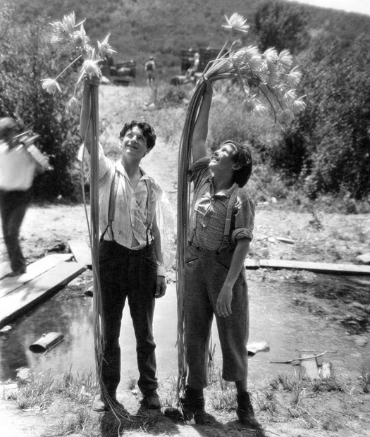 Jackie Coogan and Junior Durkin in Tom Sawyer (1930)