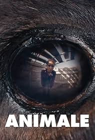 Animal (2024)