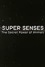 Super Senses: The Secret Power of Animals (2014)