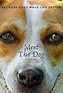 Meet the Dog (2020)