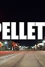 Pellett