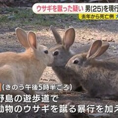 【逮捕】大久野島でウ…