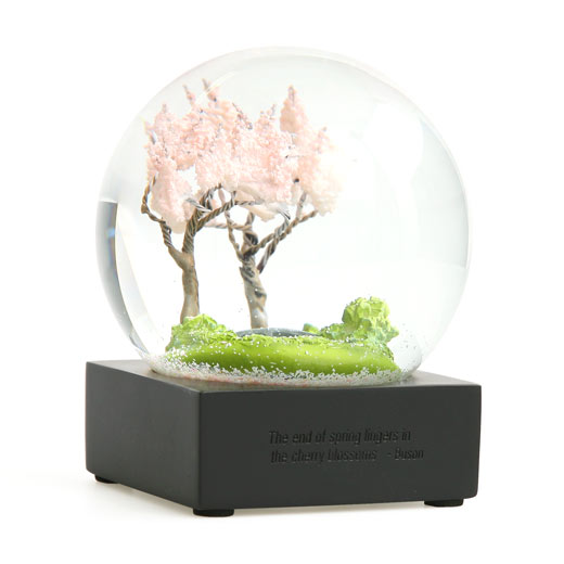 Cool Snow Globes クールスノーグローブ