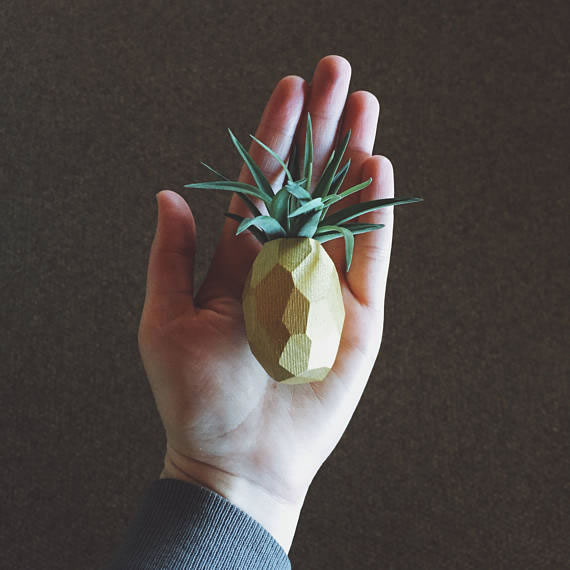 Handmade Air Plant Holders