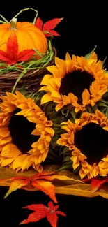 Autumn themed wallpaper with pumpkins and sunflowers on a black background.