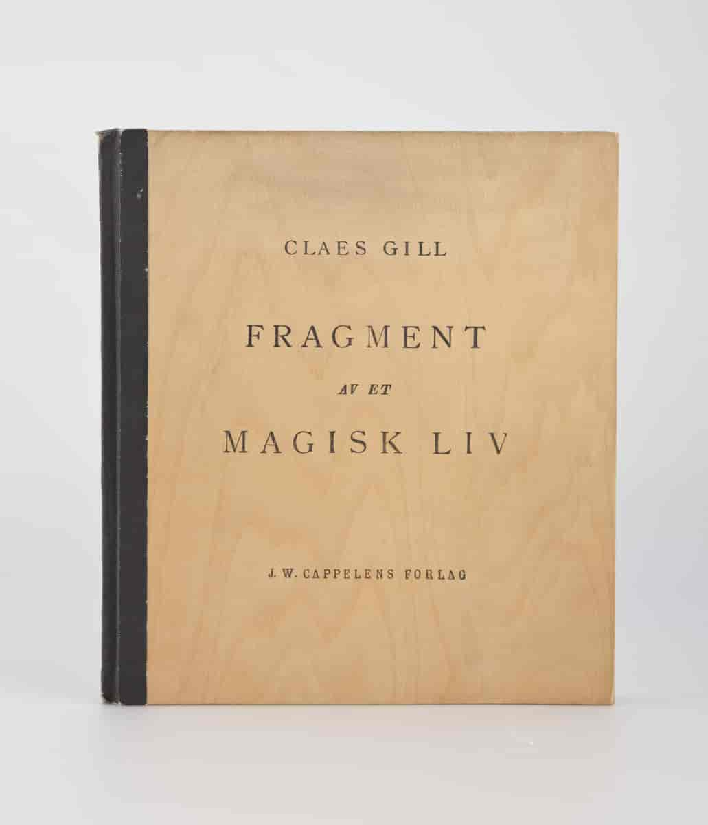 Fragment av et magisk liv