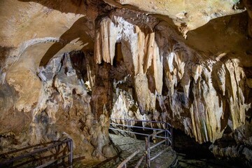 Collaborative conservation key to preserving, reviving caves