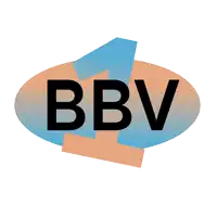 a logo for bbv has a blue and orange circle