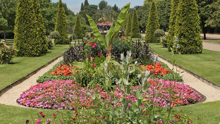 Smell the roses in Regent’s Park