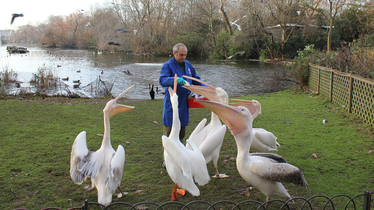 St James’s Park