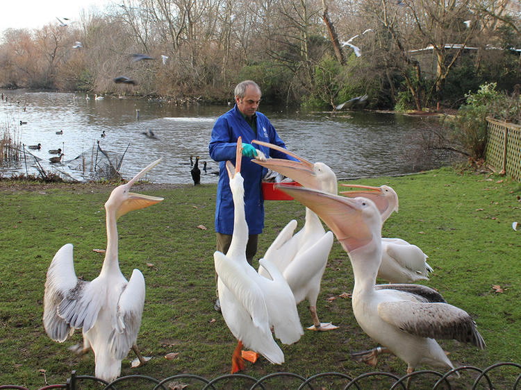 St James’s Park