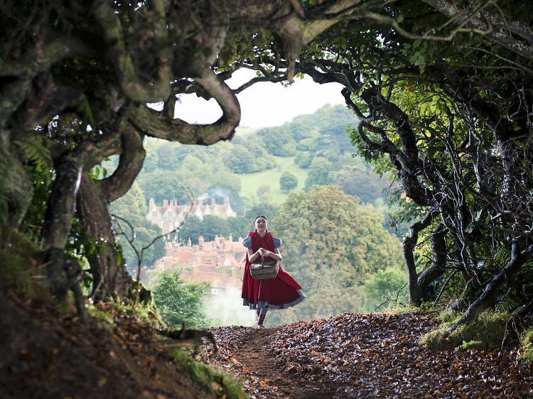 Into the Woods