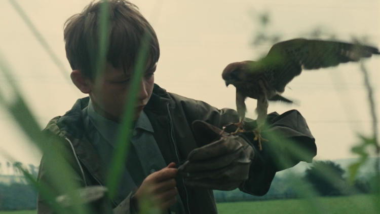 Kes (1969)