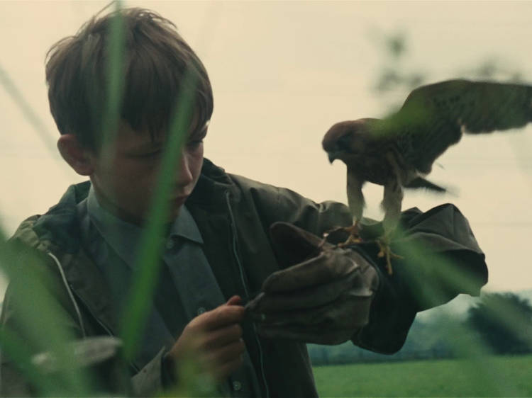 Kes (1969)