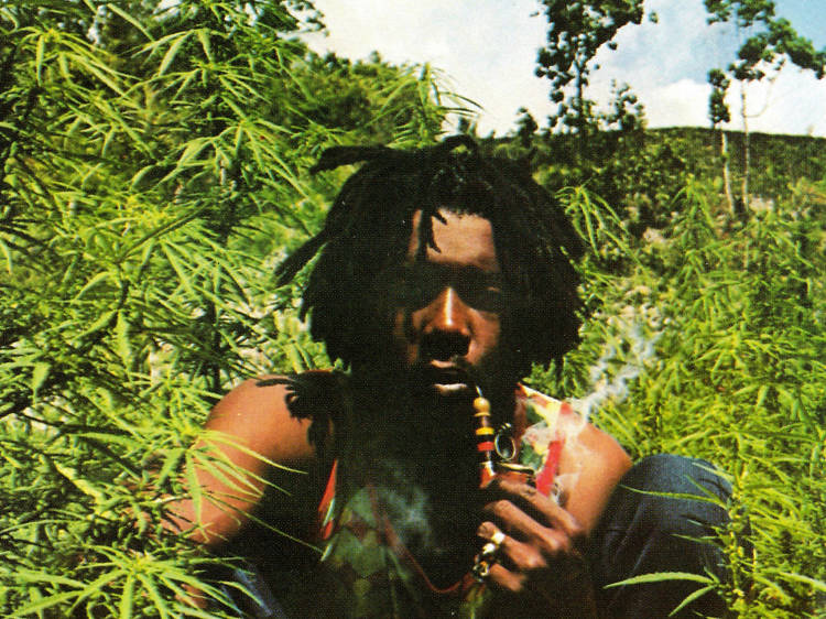 The 24 best weed songs ever