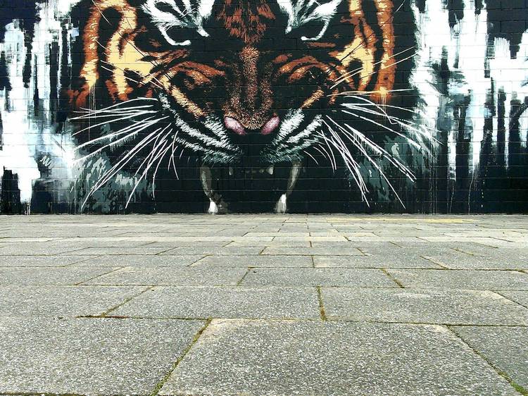 A tour of Glasgow’s best street art