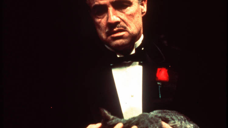 The Godfather (1972)