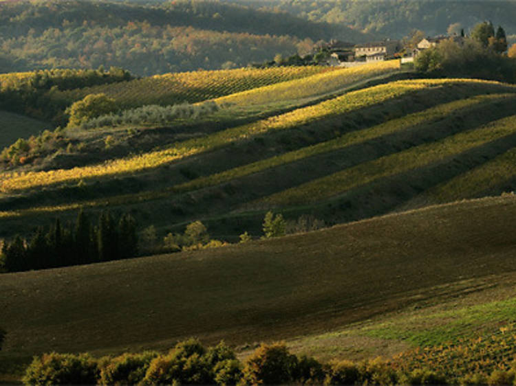 Toskana büyüsü Chianti