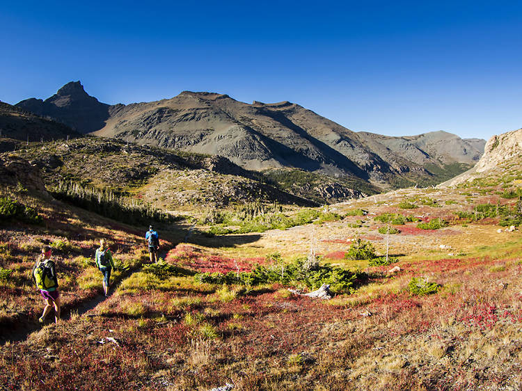 Travel to Glacier National Park