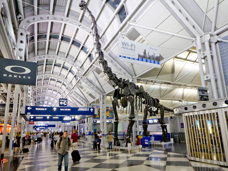 5 things to do at O’Hare if your flight is delayed or canceled