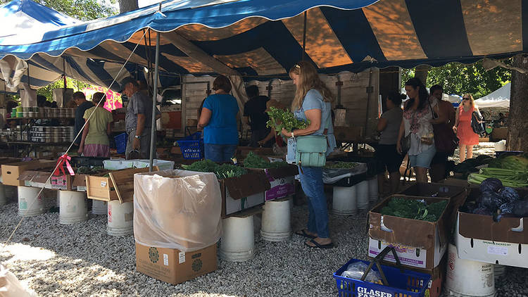 Coconut Grove Farmers’ Market