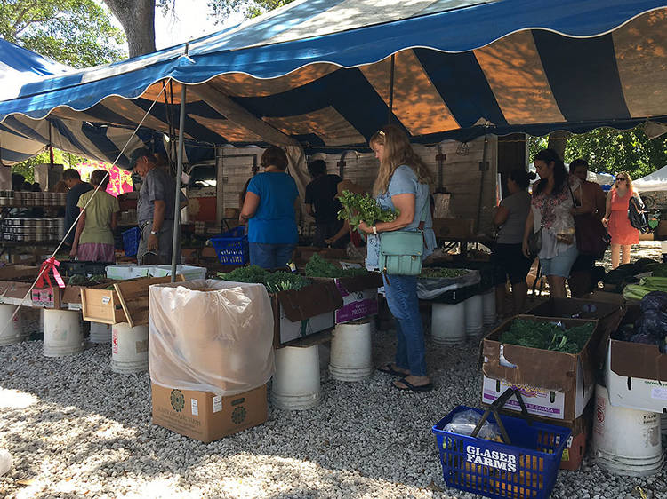 Coconut Grove Farmers’ Market