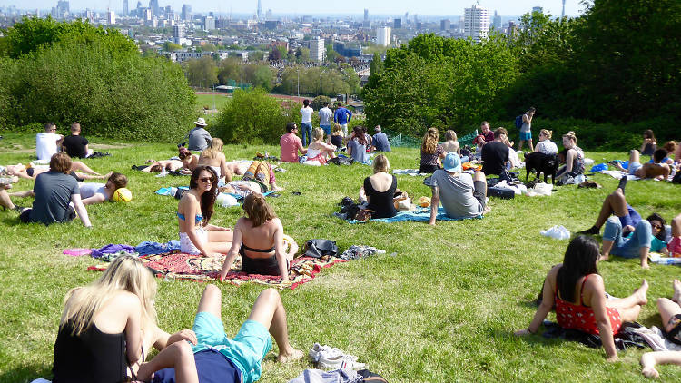 Hampstead Heath