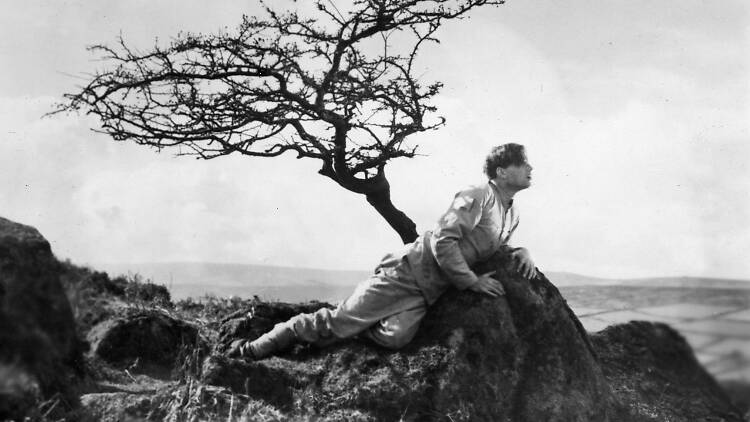 A Cottage on Dartmoor (1929)