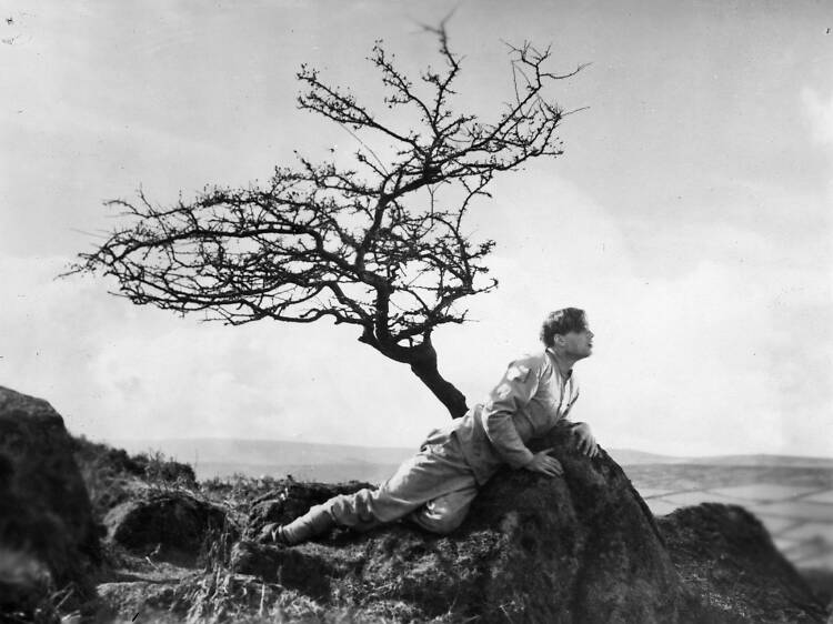 A Cottage on Dartmoor (1929)