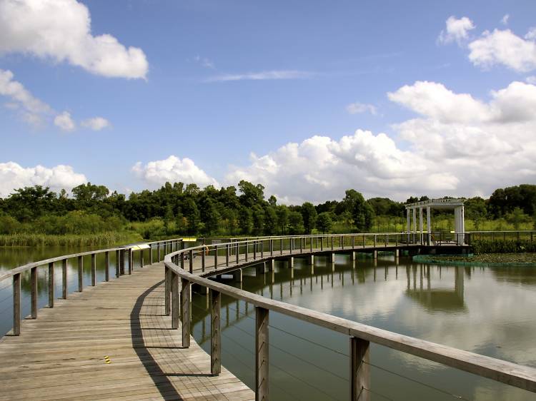 Hong Kong Wetland Park