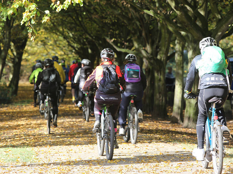 The Olympic Park to Epping Forest