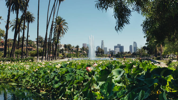 Pedal around Echo Park Lake