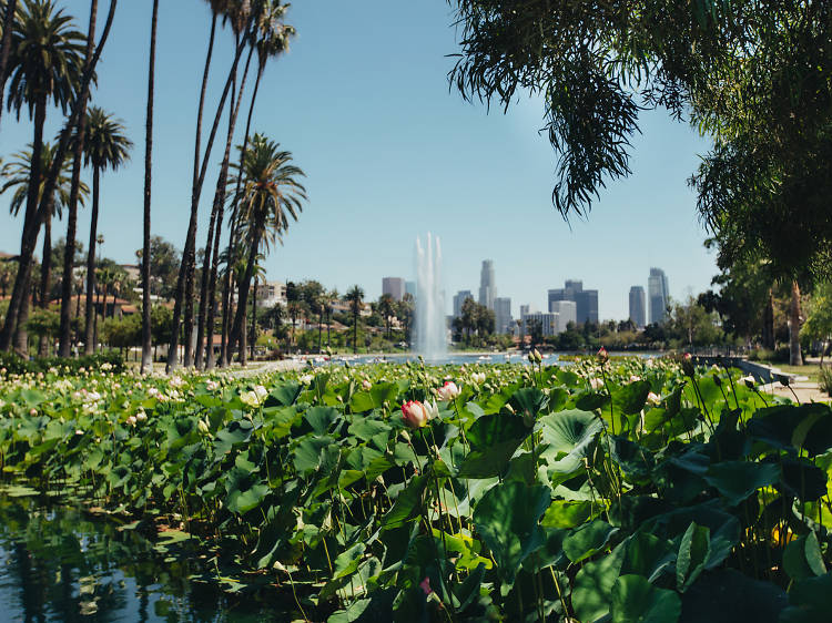 Pedal around Echo Park Lake