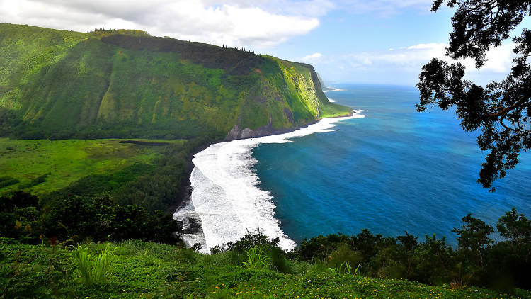 The essential guide to Big Island