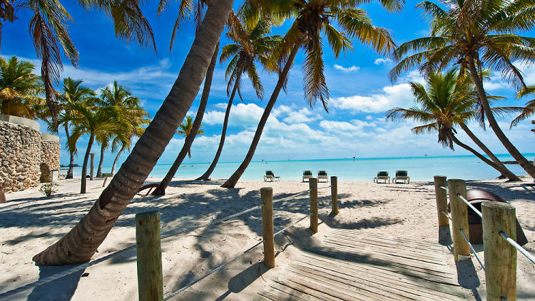 The essential guide to Key West