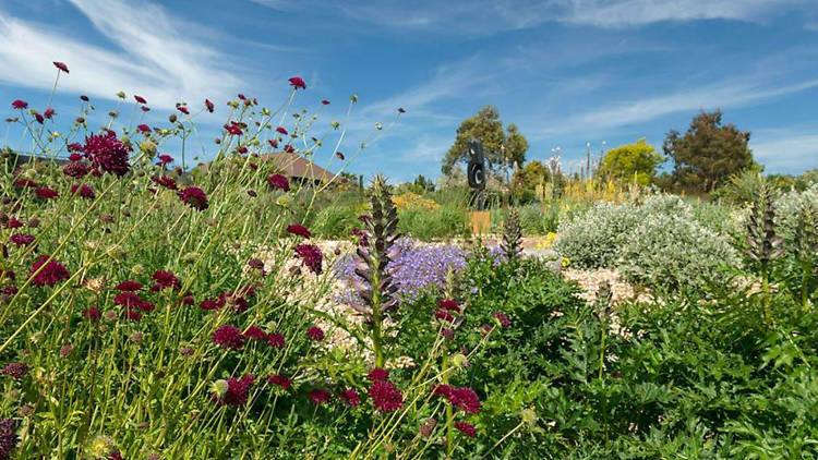 RHS Garden Hyde Hall, Essex