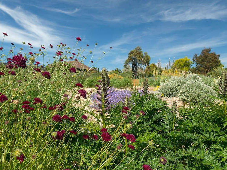 RHS Garden Hyde Hall, Essex