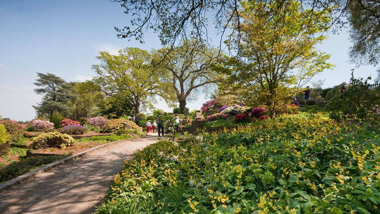 RHS Garden Wisley, Surrey