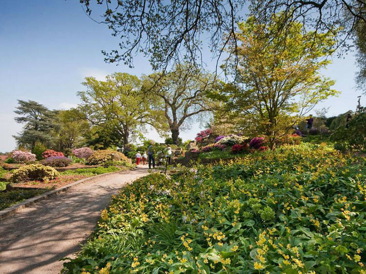 RHS Garden Wisley, Surrey