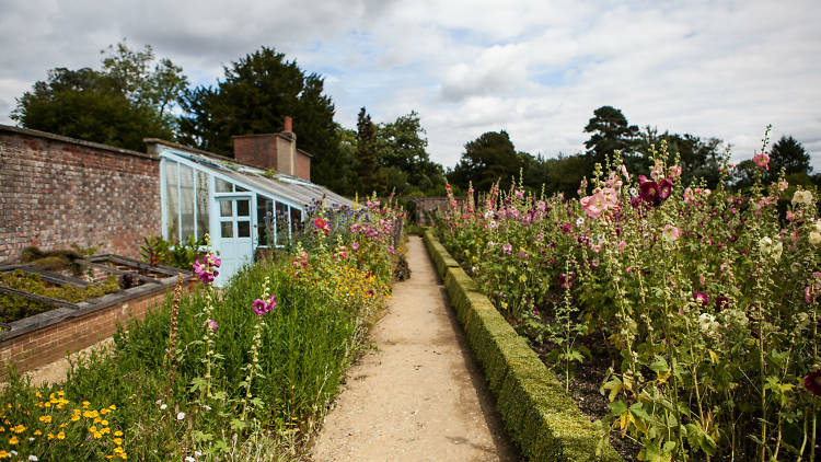 Charles Darwin’s Home, Down House, Kent