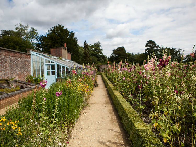 Charles Darwin’s Home, Down House, Kent