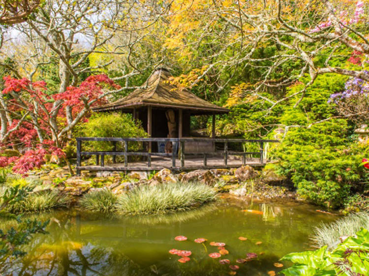 The Japanese Garden