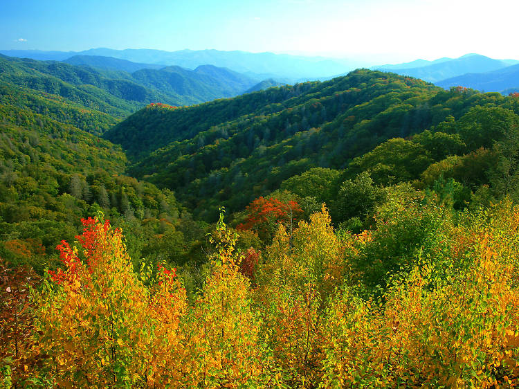 Gatlinburg