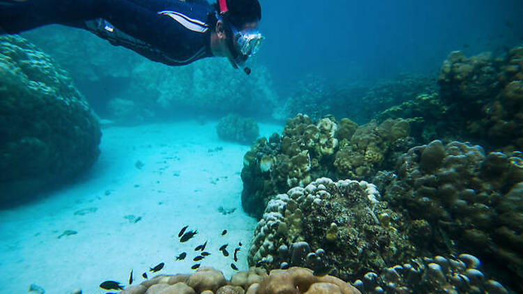 Pulau Satang Besar