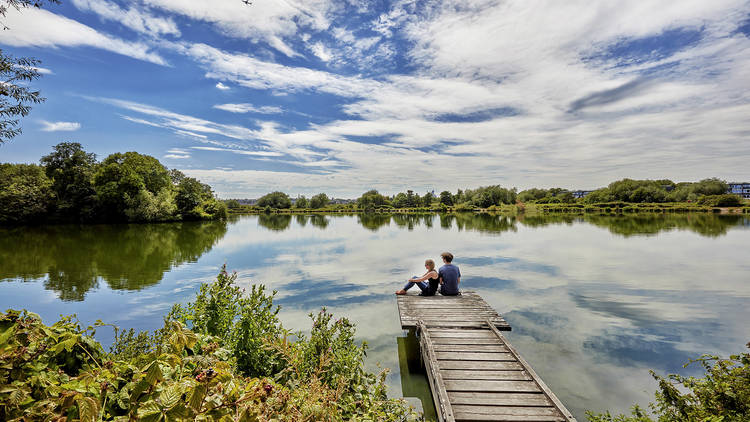 Spot wildlife at Walthamstow Wetlands