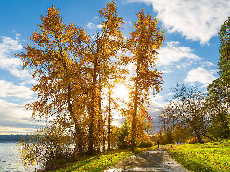 The best parks in Seattle