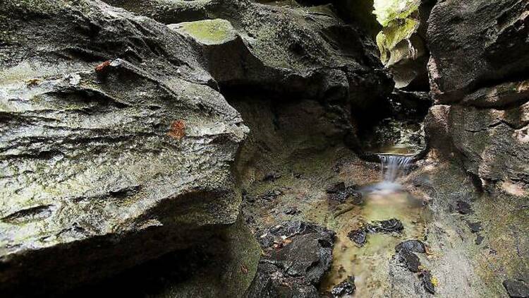 Lusk Cave Trail