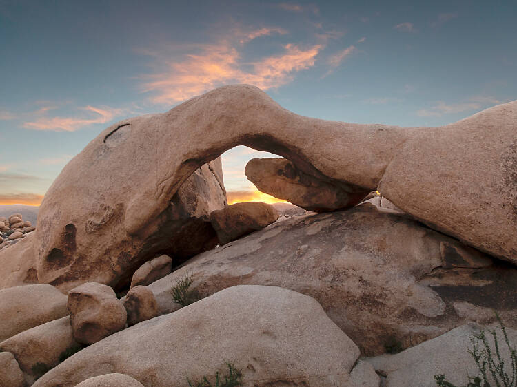 Twentynine Palms