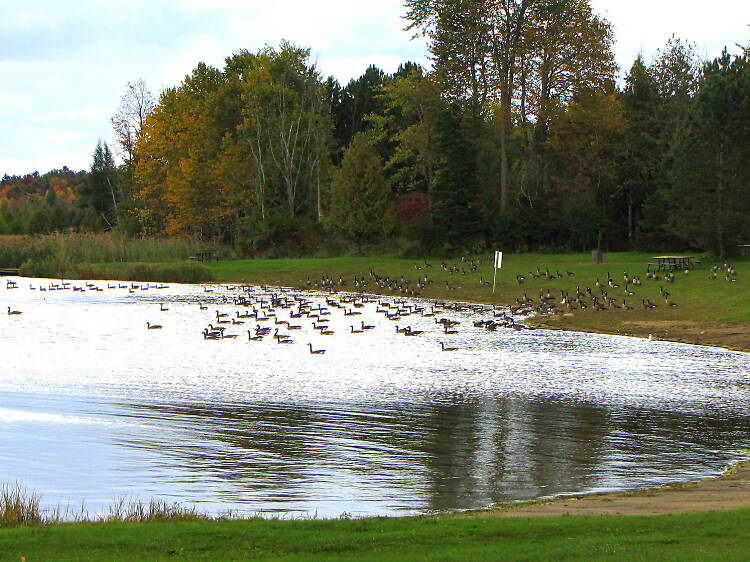 Voyageur Provincial Park